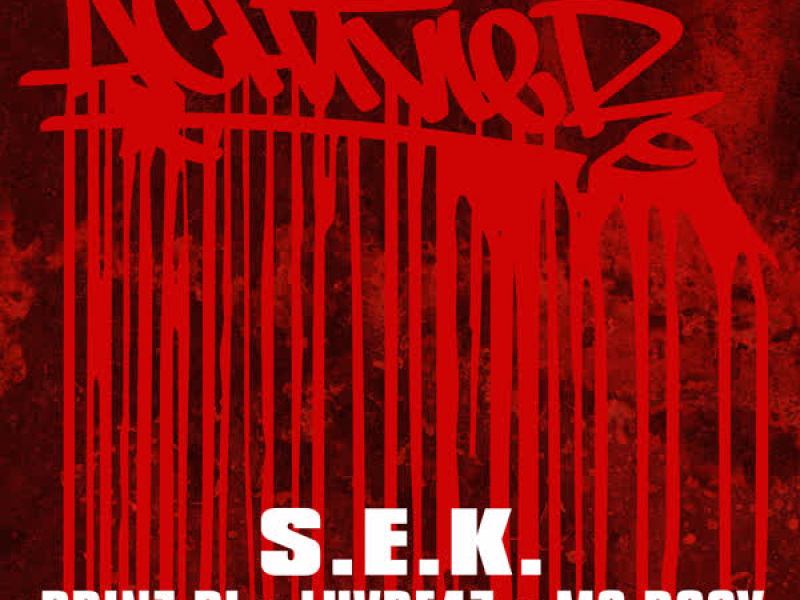 S.E.K. (Single)