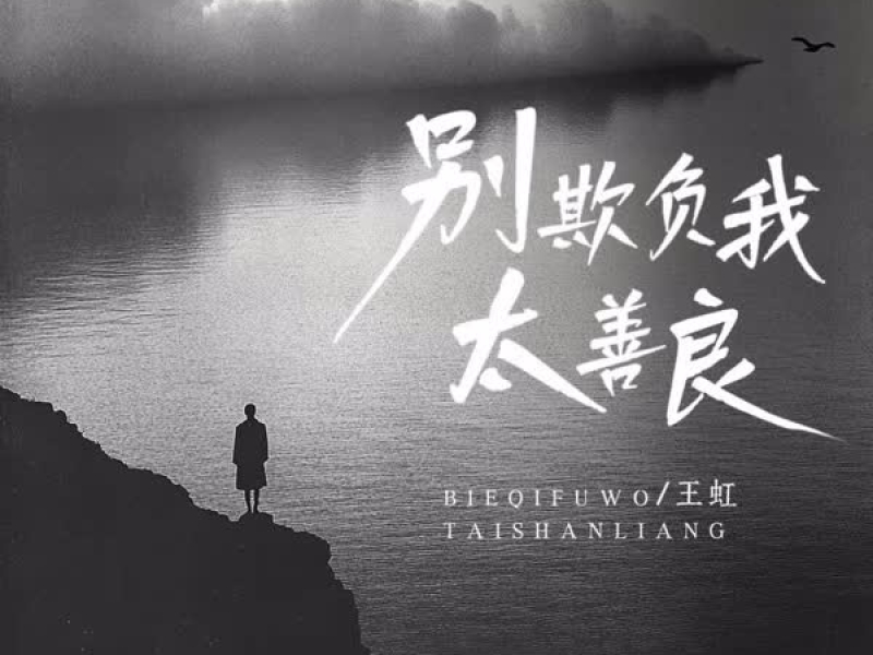 别欺负我太善良 (EP)