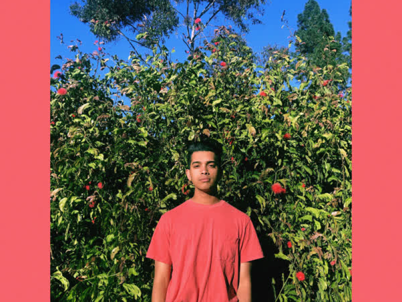 Its the Way You Keep Coming Back (Single)