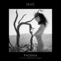 Phoenix (Little Dragon Remix) (Single)