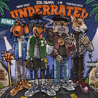 Underrated (Remix) [feat. MoneySign Suede] (Single)