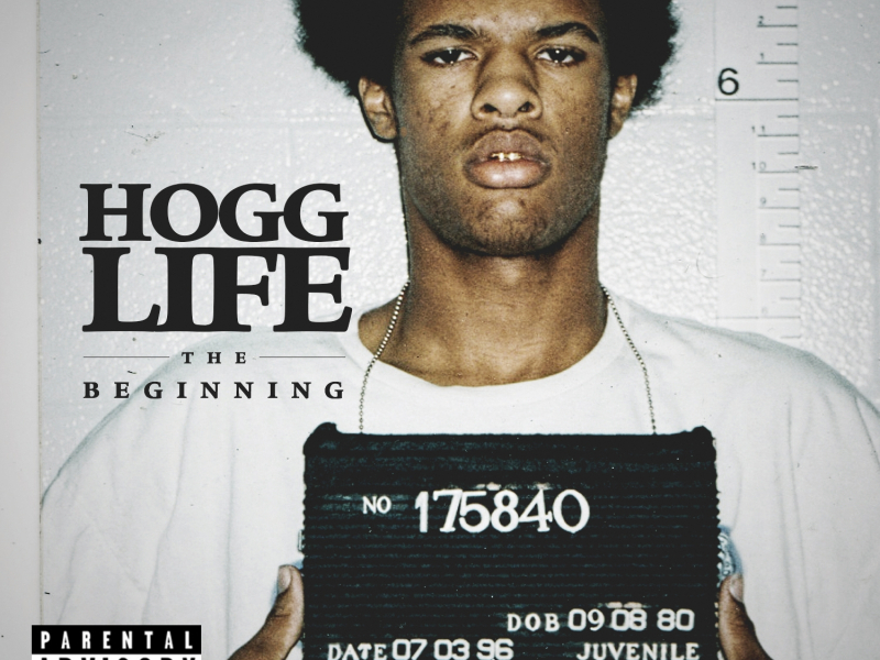 Hogg Life: The Beginning