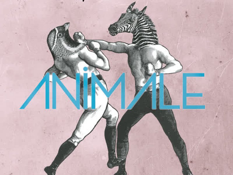 Animale