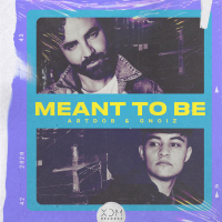 Meant to Be (Single)