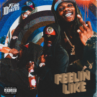 Feelin Like (Single)