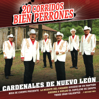 20 Corridos Bien Perrones