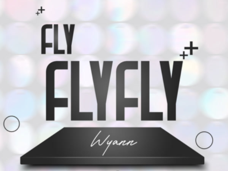 Fly Fly Fly (Wyann Remix) (Single)