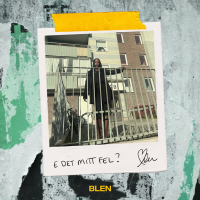 E det mitt fel? (Single)