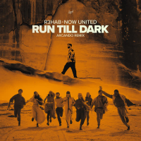 Run Till Dark (Arcando Remix) (Single)