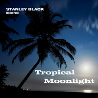 Tropical Moonlight
