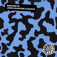 Birdseye (Single)