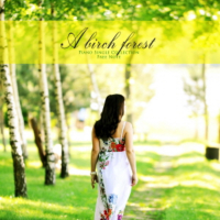 Into a birch forest (Single)