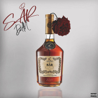 SÅR (Single)