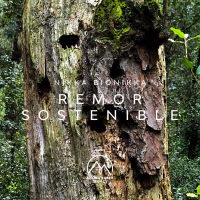 Remor Sostenible (Single)