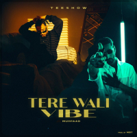 Tere Wali Vibe (Single)