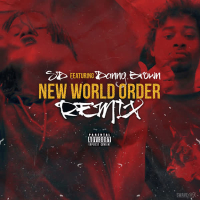 New World Order (Remix) (Single)