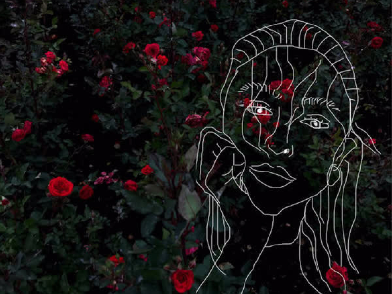 i wanna be your girlfriend (Single)