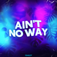 Ain't No Way (T-Mix) (Single)