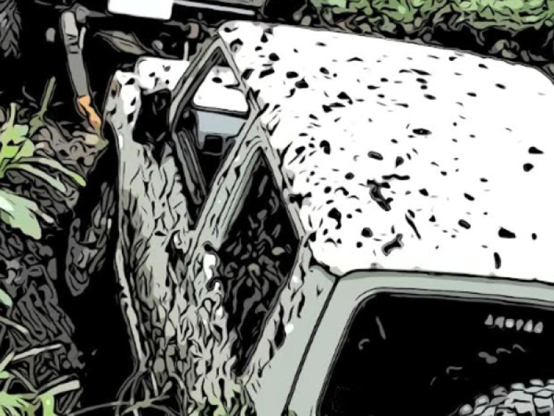 Muddy Bravehearts (Single)