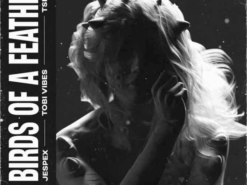 Birds of a feather (Single)