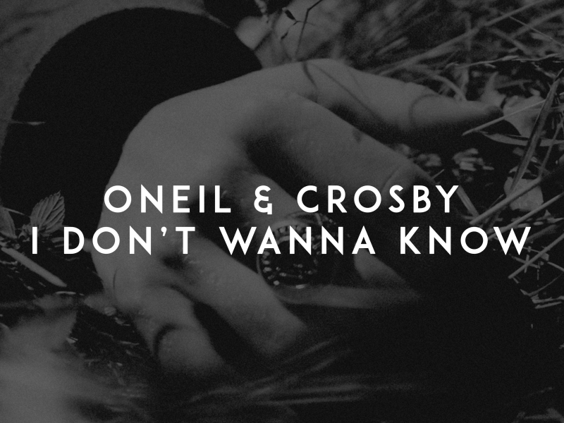 I Don't Wanna Know (Single)