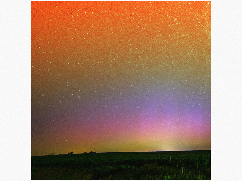 Just a Dream (feat. Layne) (Single)