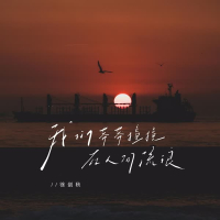 我们莽莽撞撞在人间流浪 (Single)