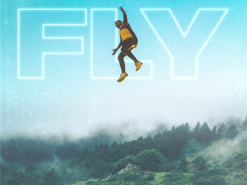 Fly