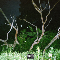 TREE (Single)