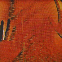 White Walls (Single)