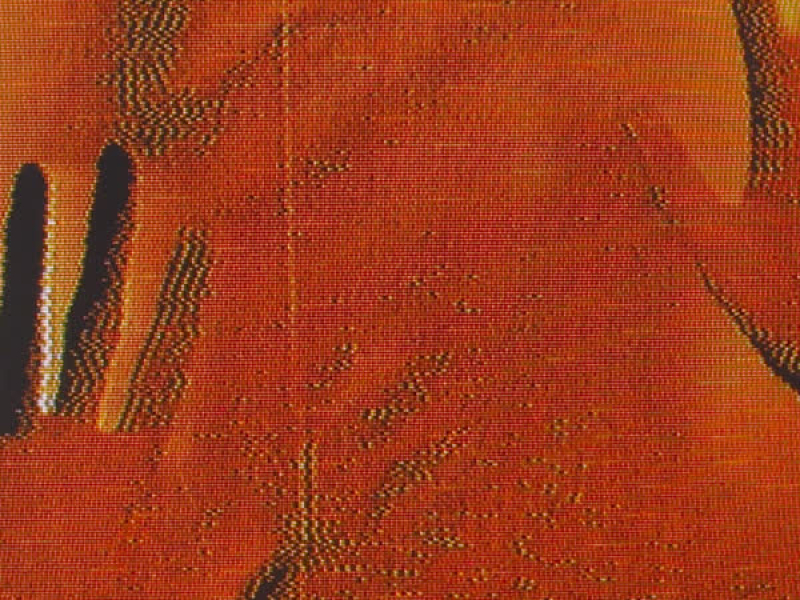 White Walls (Single)