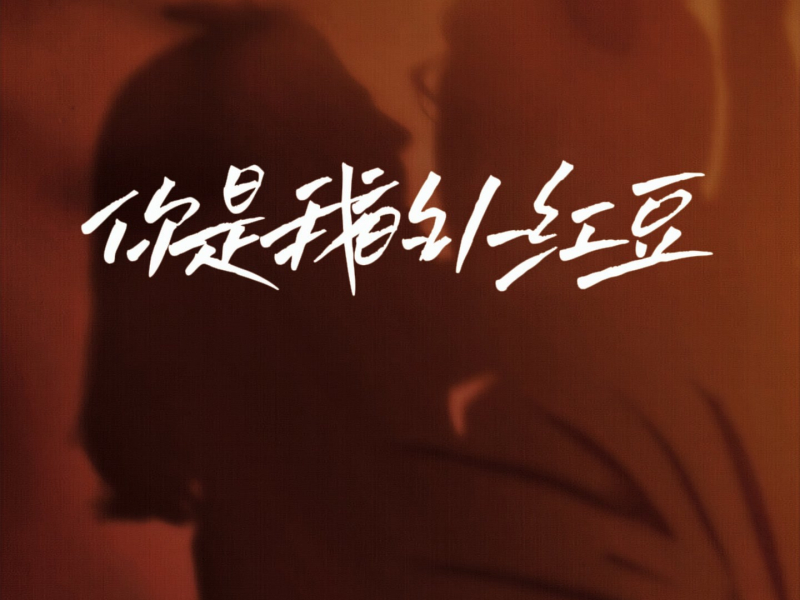 你是我的小红豆 (Single)