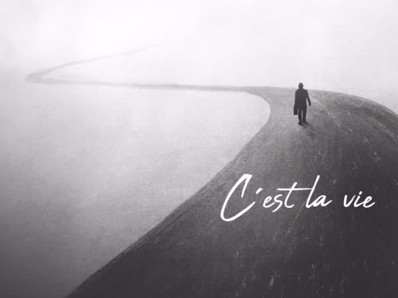 C‘est la vie (Single)