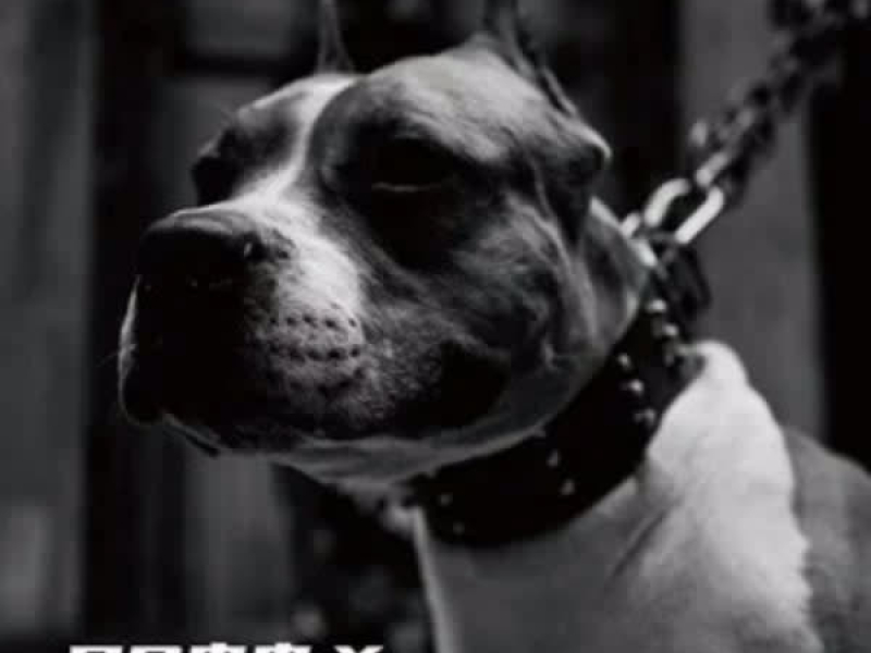 MY FRIEND WANNA TRAP