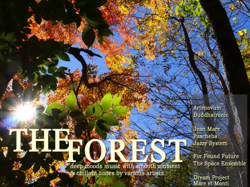 The Forest Chill Lounge, Vol. 11 (Deep Moods Music with Smooth Ambient & Chillout Tunes)