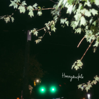 Honeysuckle (Single)