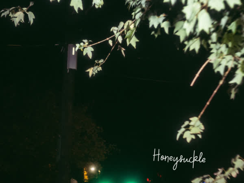 Honeysuckle (Single)