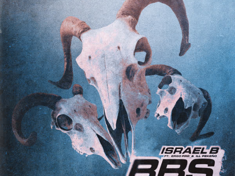 BBS 2.2 (B2B2B) (Single)