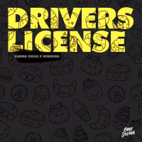 Drivers License (Single)