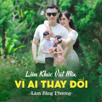 Liên Khúc Việt Mix 2023 (Single)