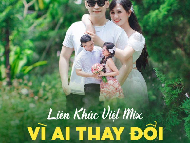 Liên Khúc Việt Mix 2023 (Single)
