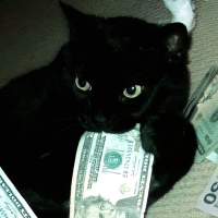 Shake It To The Max (Single)