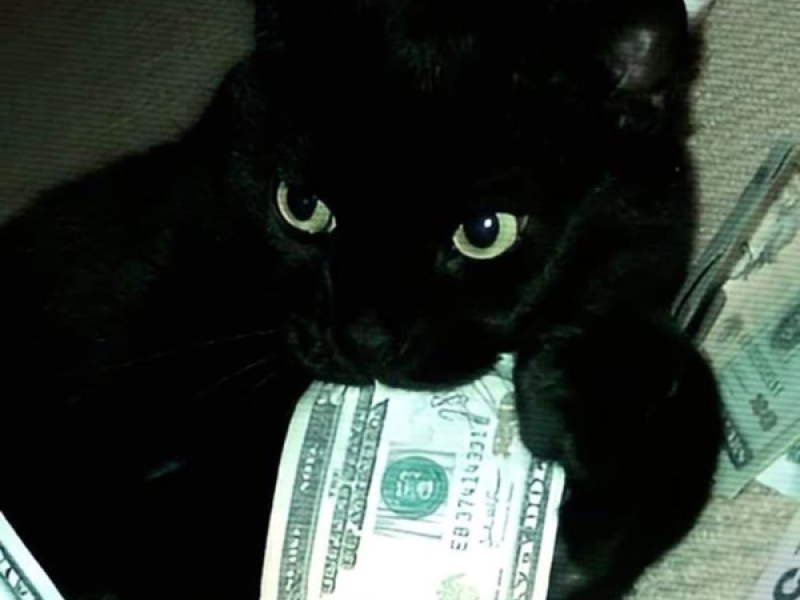 Shake It To The Max (Single)