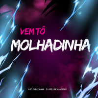 VEM TÔ MOLHADINHA (Single)