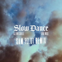 Slow Dance (Sam Feldt Remix) (Single)