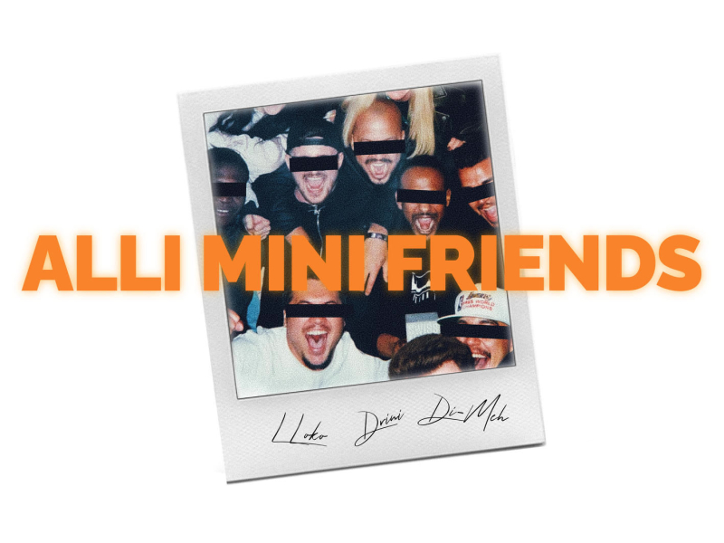 ALLI MINI FRIENDS (Single)