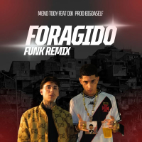 FORAGIDO - REMIX FUNK (Single)