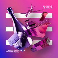 Ff Nieuwe Sannie Halen (Vakantie Remix) (Single)