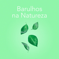 Barulhos da Natureza