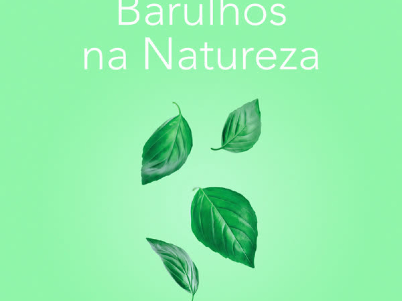 Barulhos da Natureza